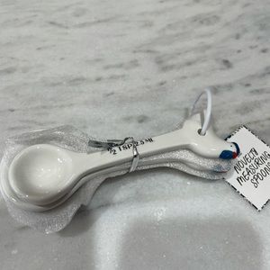 Chicken Measuring Spoons ceramic